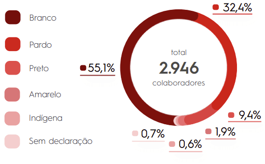 Gráfico de raça e etnia