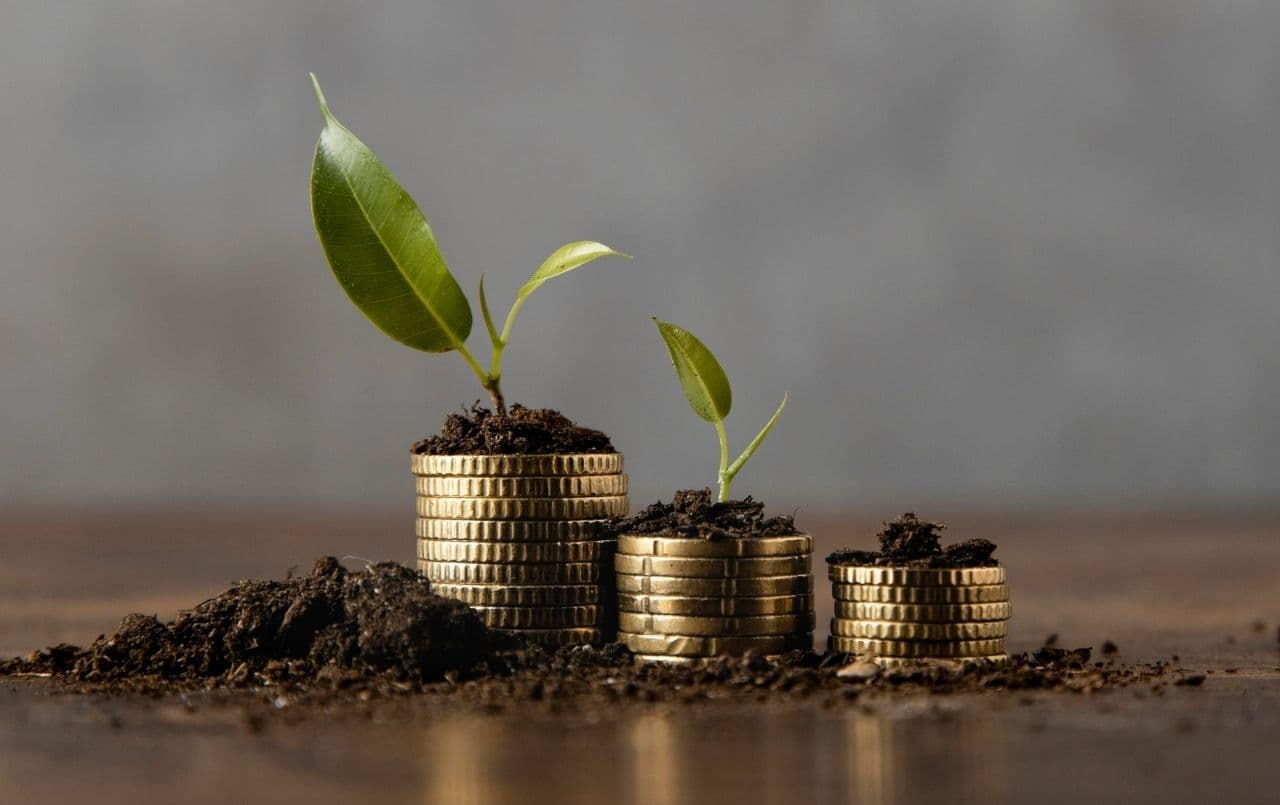 Conheça os principais investimentos pessoais