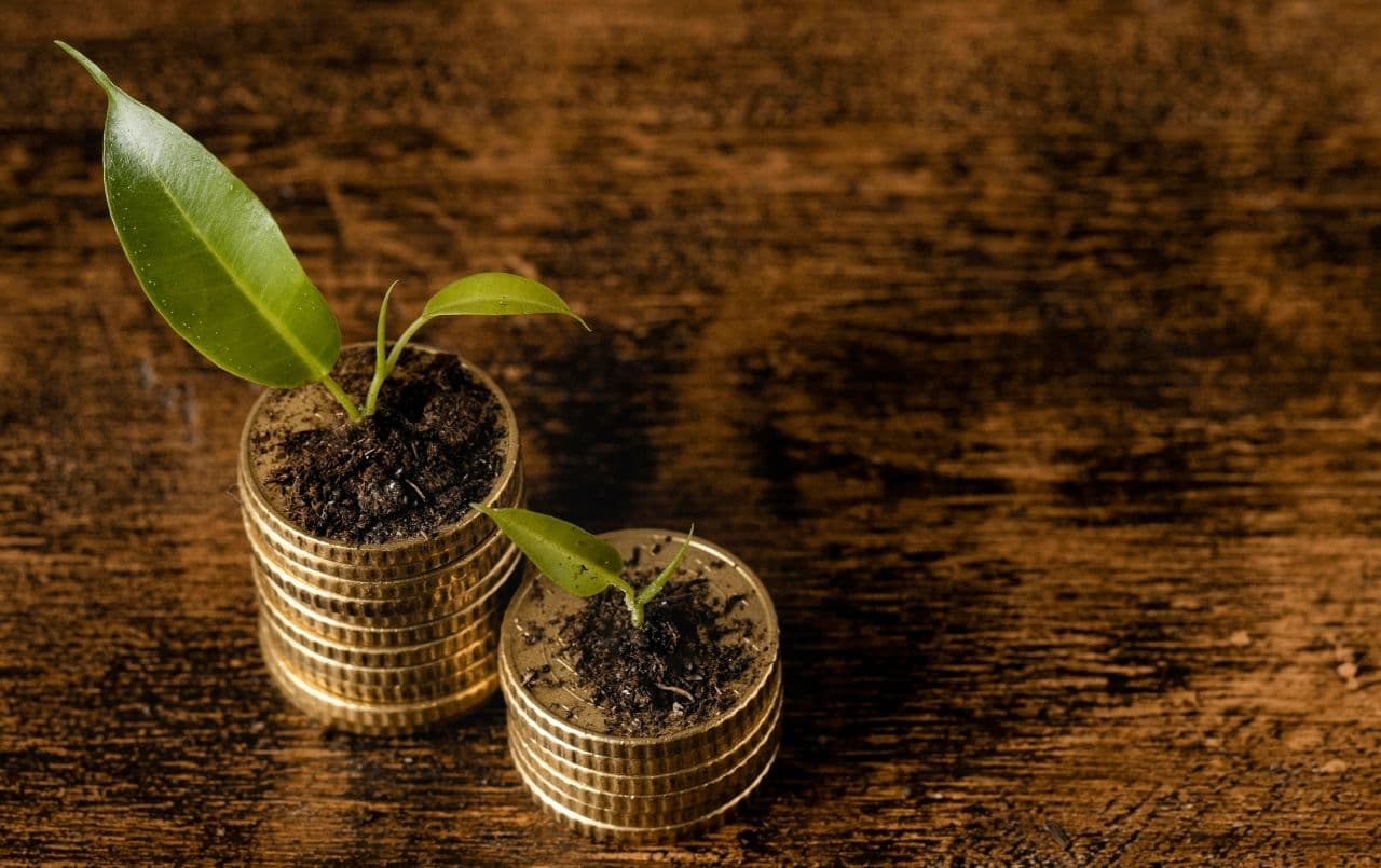 Poupar dinheiro: feche o ano no azul